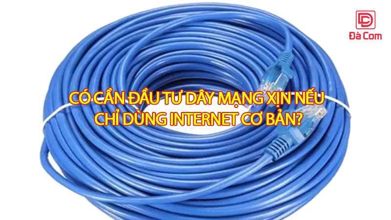 co-can-dau-tu-day-mang-xin-neu-chi-dung-internet-co-ban2